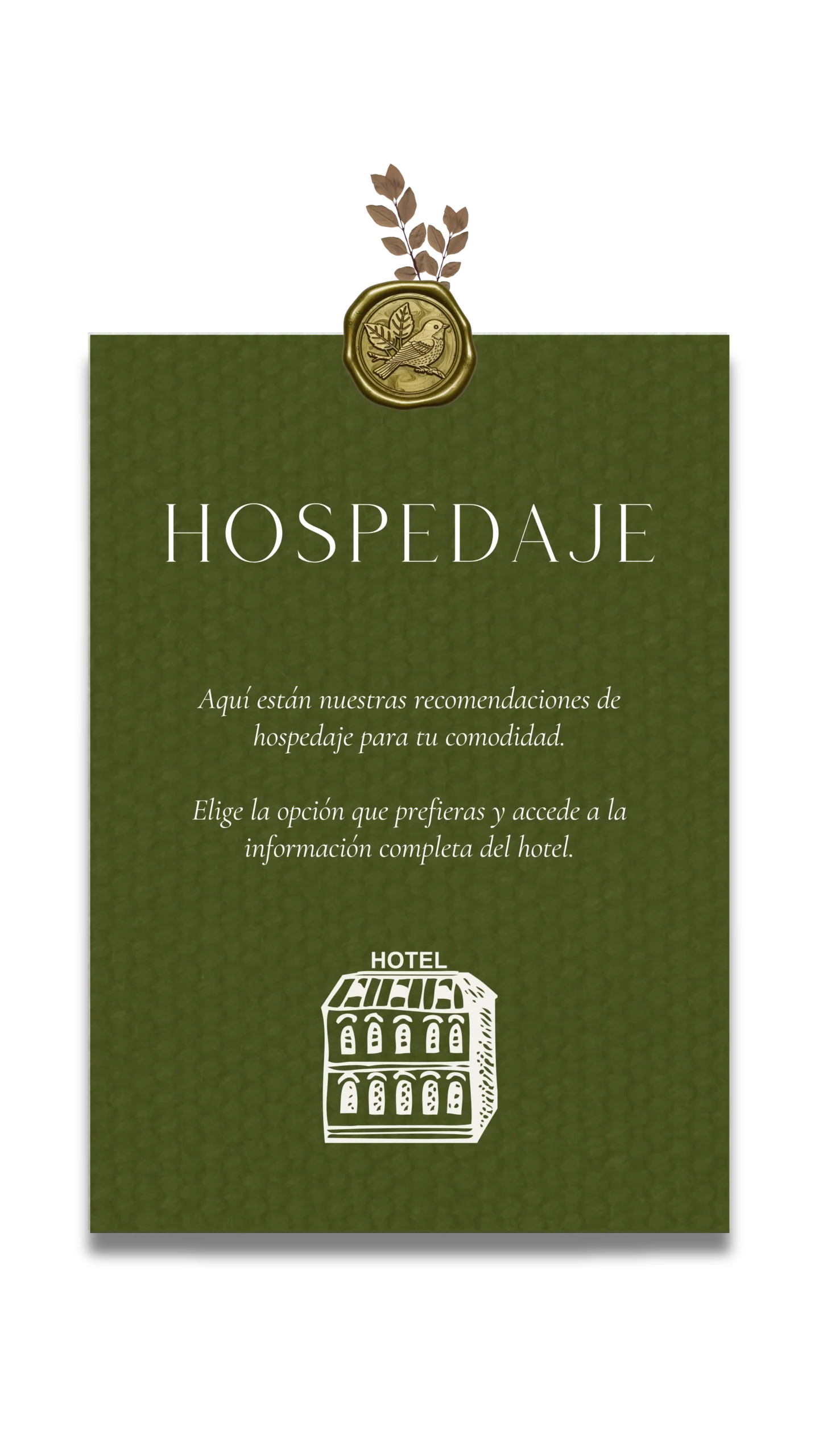 7 HOSPEDAJE